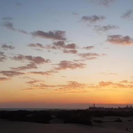 Pitaya 아파트 플라야 델 잉글스