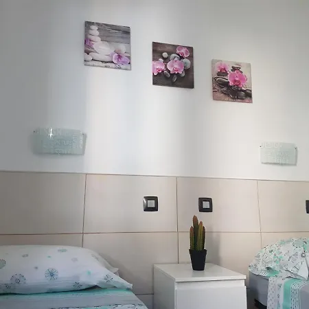 Pitaya * بلايا ديل إنغلز